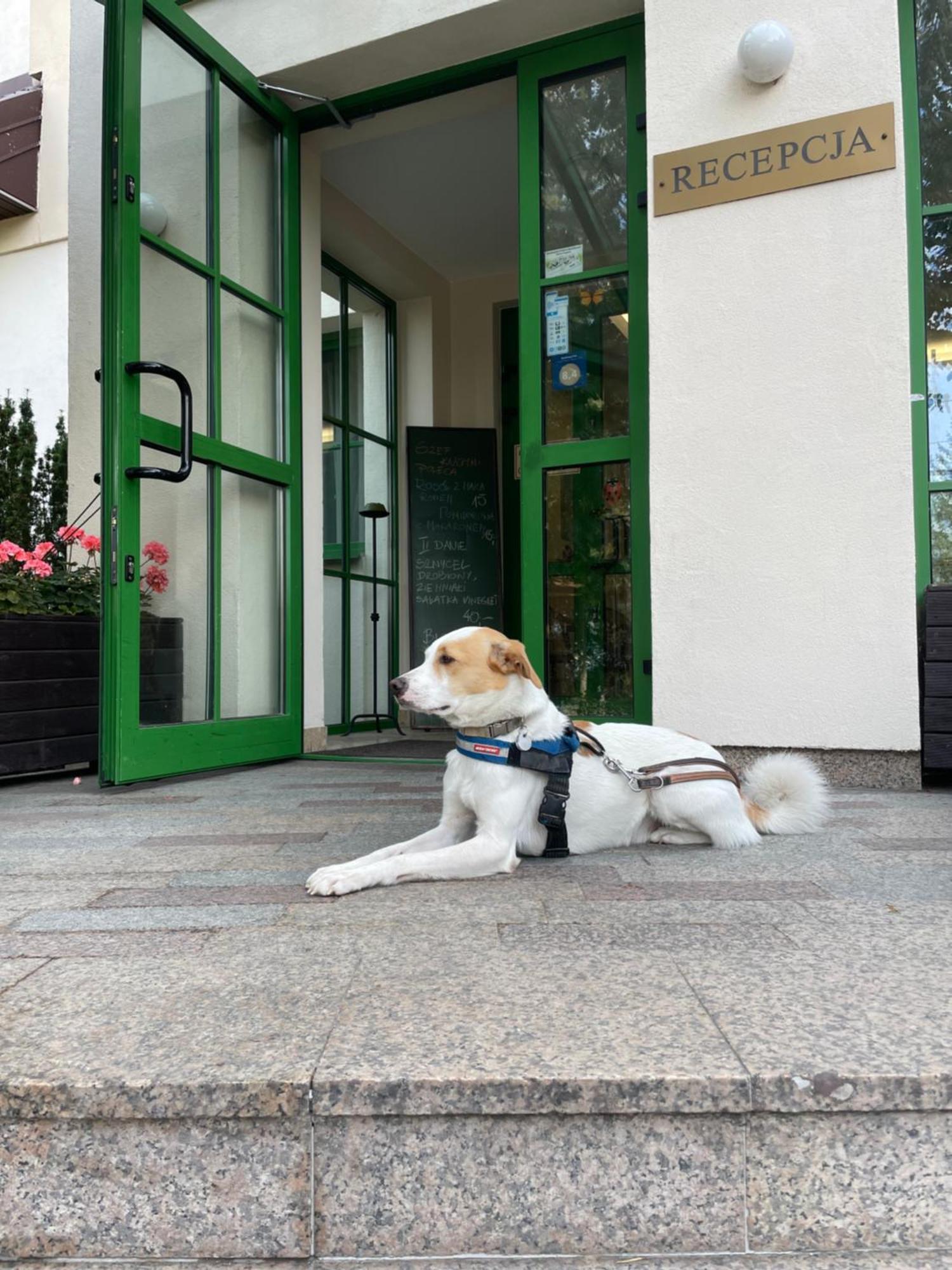 Hotel Gaja Warsaw Luaran gambar